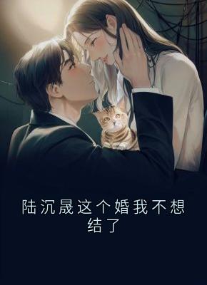 《陆沉晟这个婚我不想结了》快手热推沈轻虞陆沉晟免费阅读
