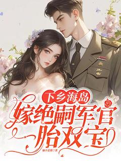 (热推新书)《下乡海岛，嫁绝嗣军官一胎双宝》沈竹一霍锦之无弹窗阅读