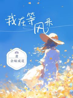 《我在等风来》周意澄林祁安小说完整在线阅读