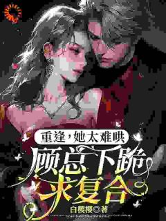 重逢，她太难哄，顾总下跪求复合小说(连载文)-赵舒晚顾砚琛无广告阅读