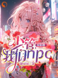 何梦清宫子羽小说抖音热文《综影视：少管我们npc》完结版