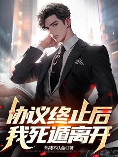 吗喽不认命写的小说协议终止后,我死遁离开在线阅读