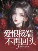 爱恨极端，不再回头小说免费版阅