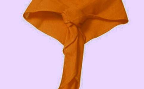 红领巾奖章中队事迹