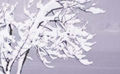 关于节气小雪的演讲稿